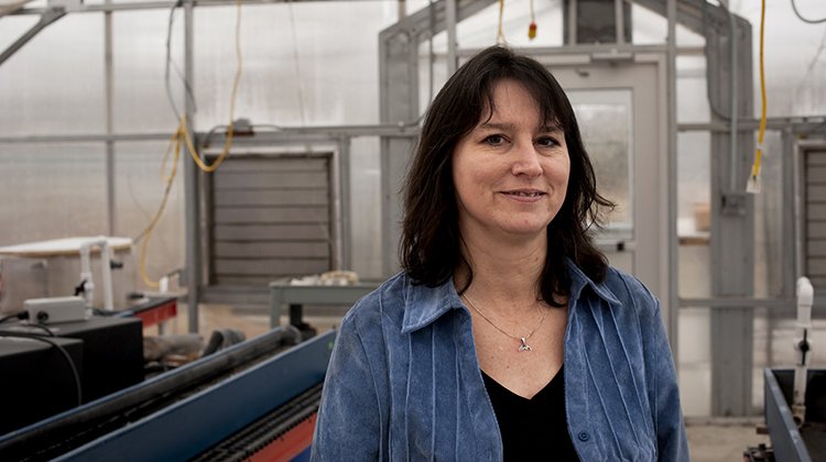 Dr. Kelly Johnson, an associate professor of biological sciences and OHIO’s AEP Watershed Research and Reclamation Professor, is seen inside an Ohio University research greenhouse where funding from the AEP Professorship allowed for the construction of artificial stream channels.