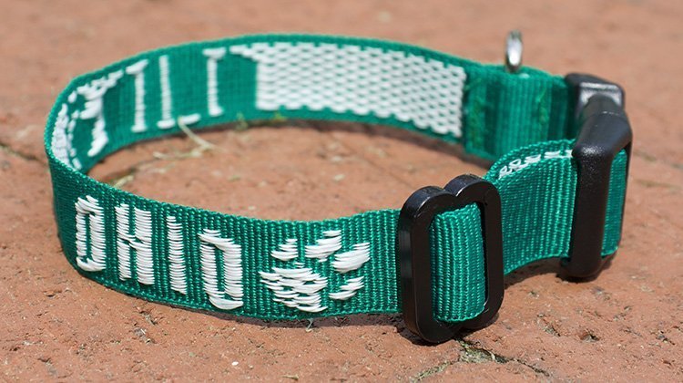 Pictured is the Arch OHIO Dog Collar, part of The Bobcat Store’s spring collection.