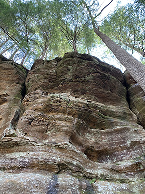 Pictured is one of the rock formations within the Crane Hollow Nature Preserve in Hocking County, which is owned and conserved by Crane Hollow Inc. The preserve is where the natural specimens and species in the Crane Hollow collection were gathered over a 15-year period.