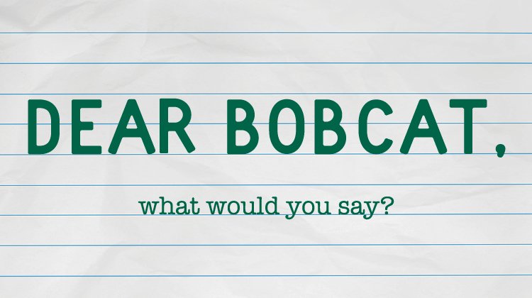 Dear Bobcat logo