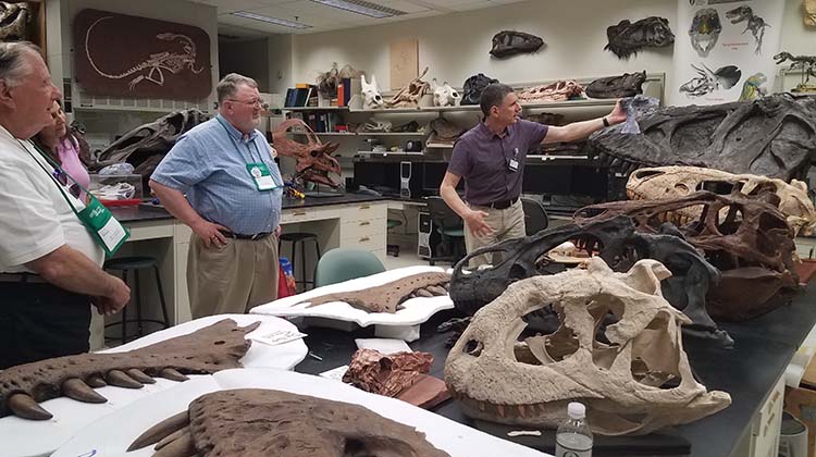 Alumni view large dinosaur fossils