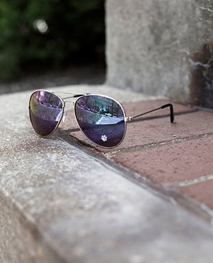 Aviator sunglasses with paw print