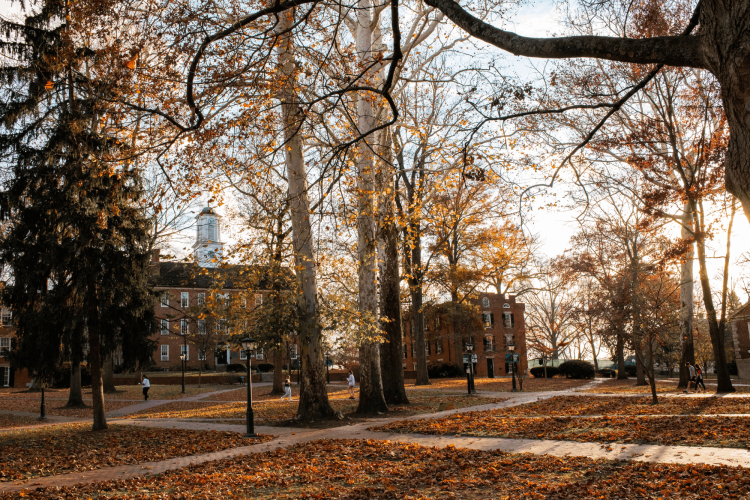 Cutler Hall appears through fall colors on College Green.
