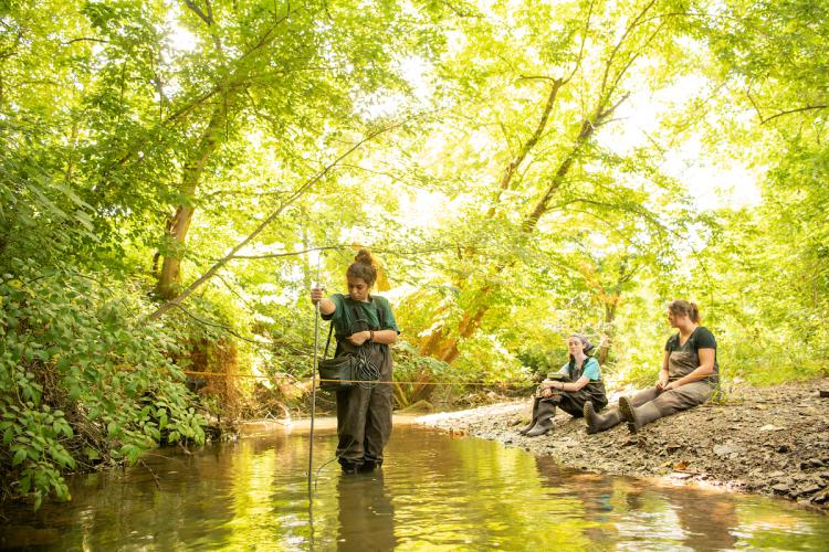 Three students work in a creek