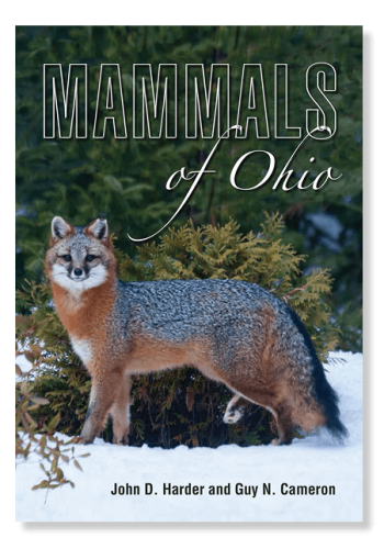 Mammals of Ohio magazine cover