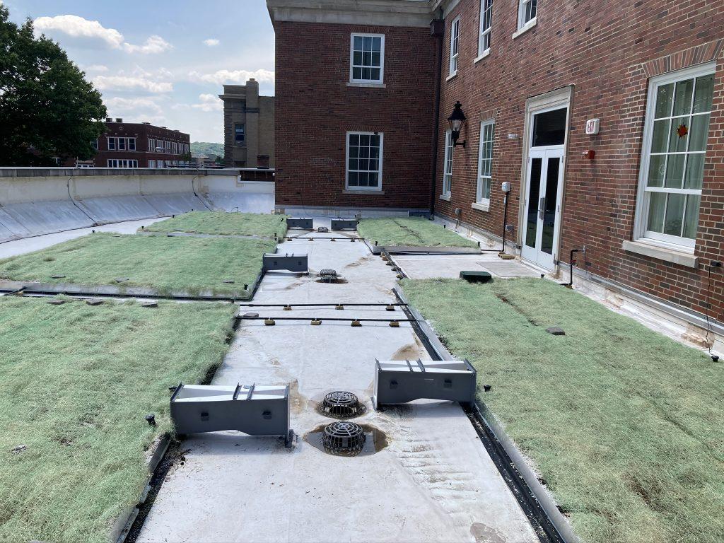 On the Schoonover Green Roof