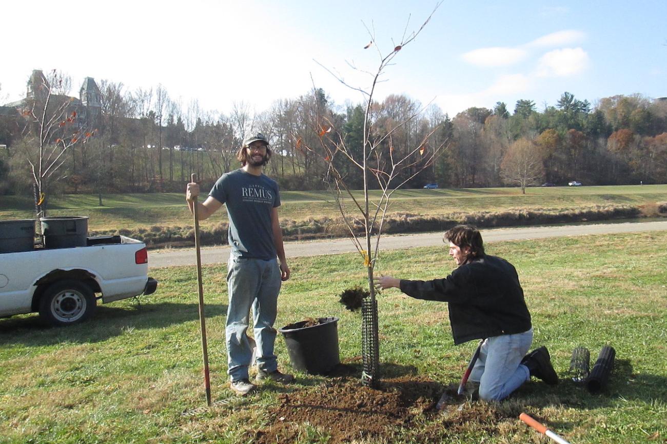 Two people planting a tree