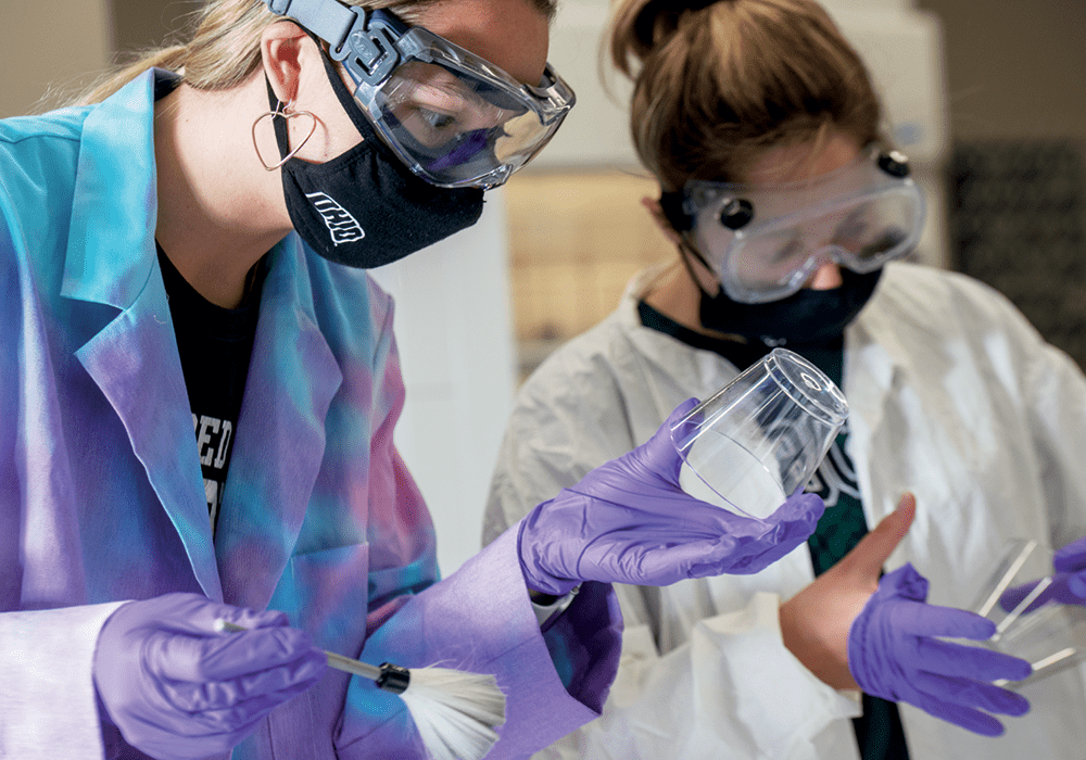 Students lift fingerprints as part of research work in the Chemistry Building.