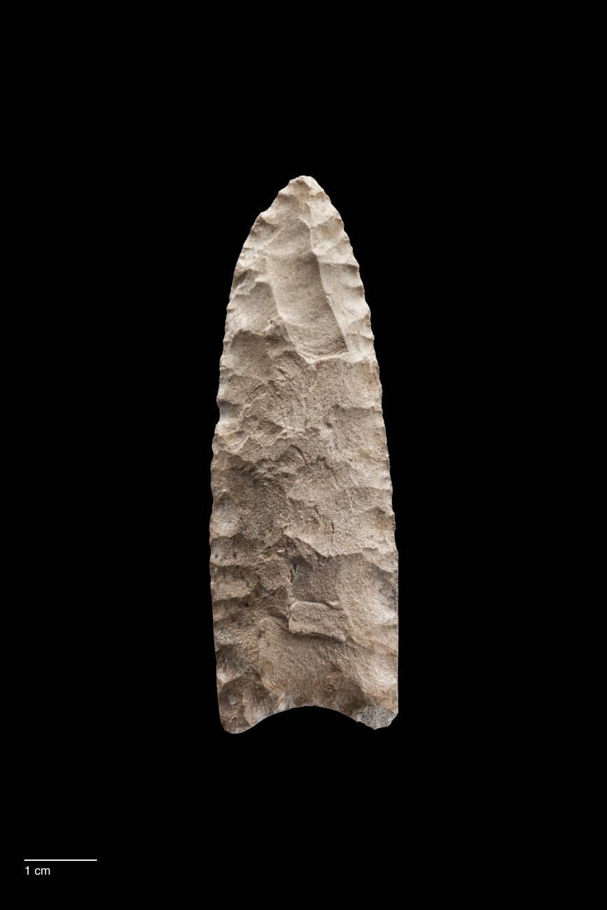 A 13,000-year-old spear point