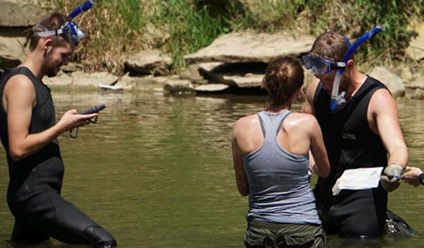 OHIO Biological Sciences students are hip-deep in the search for hellbenders. From left, Ryan Wagner, Christine Hanson and Matt Kaunert.