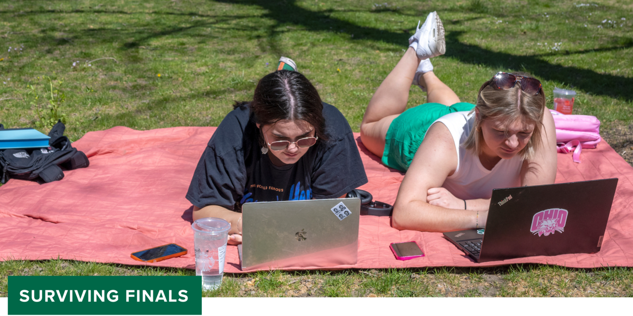 Students on their laptops.