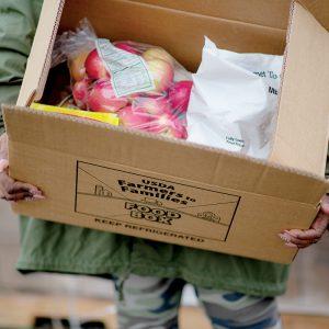 person holding box of food from food pantry