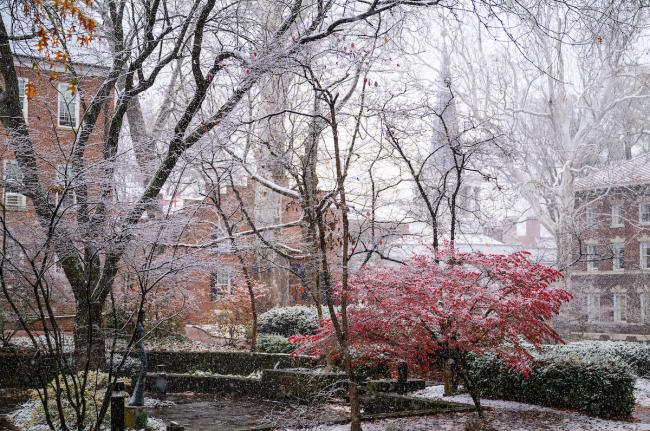 OHIO's College Green is shown with snow on the tree branches and bushes on a cool November day