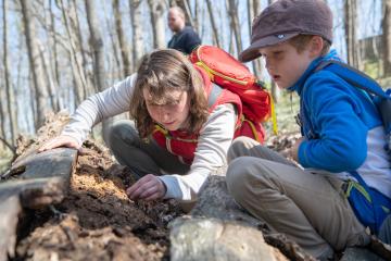 Bio Blast at the Ridges