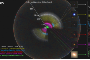 SDSS map of the universe