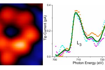 Hla X-ray image