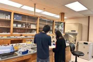 Researchers Oscar Avalos Ovando and Veronica Bahamondes Lorca review notes in OHIO's Edison Biotechnology Institute.