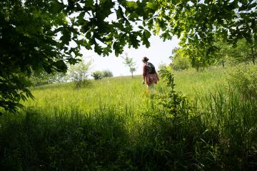 A hiker walks through a field of tall grass bordered by trees.