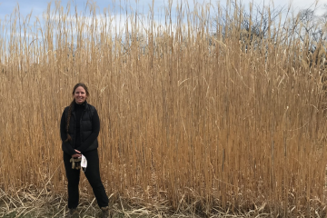 Dr. Sarah Davis is shown standing in front of miscanthus grass at The Ridges at Ohio University.