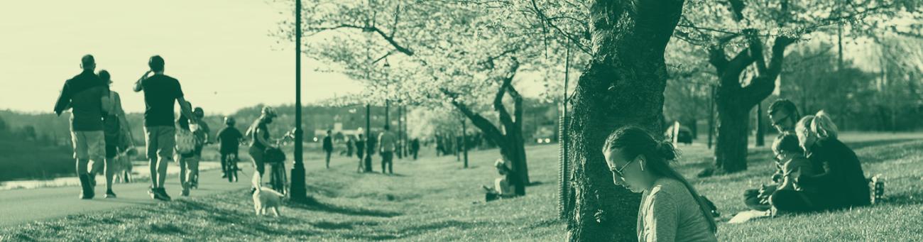 Students, families, and community members sitting under blossoming cherry blossom trees in Athens, Ohio