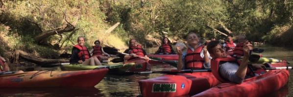 people kayaking