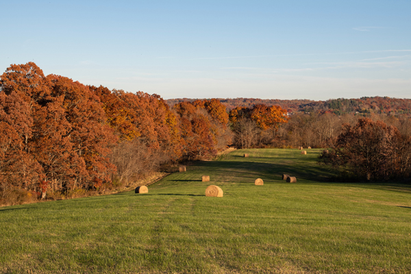 The Ridges