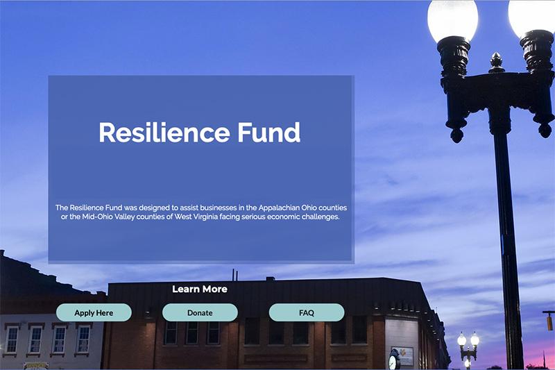 Screenshot of the home page to the Resilience Fund website. The image includes the organization's mission statement over and purple sky.