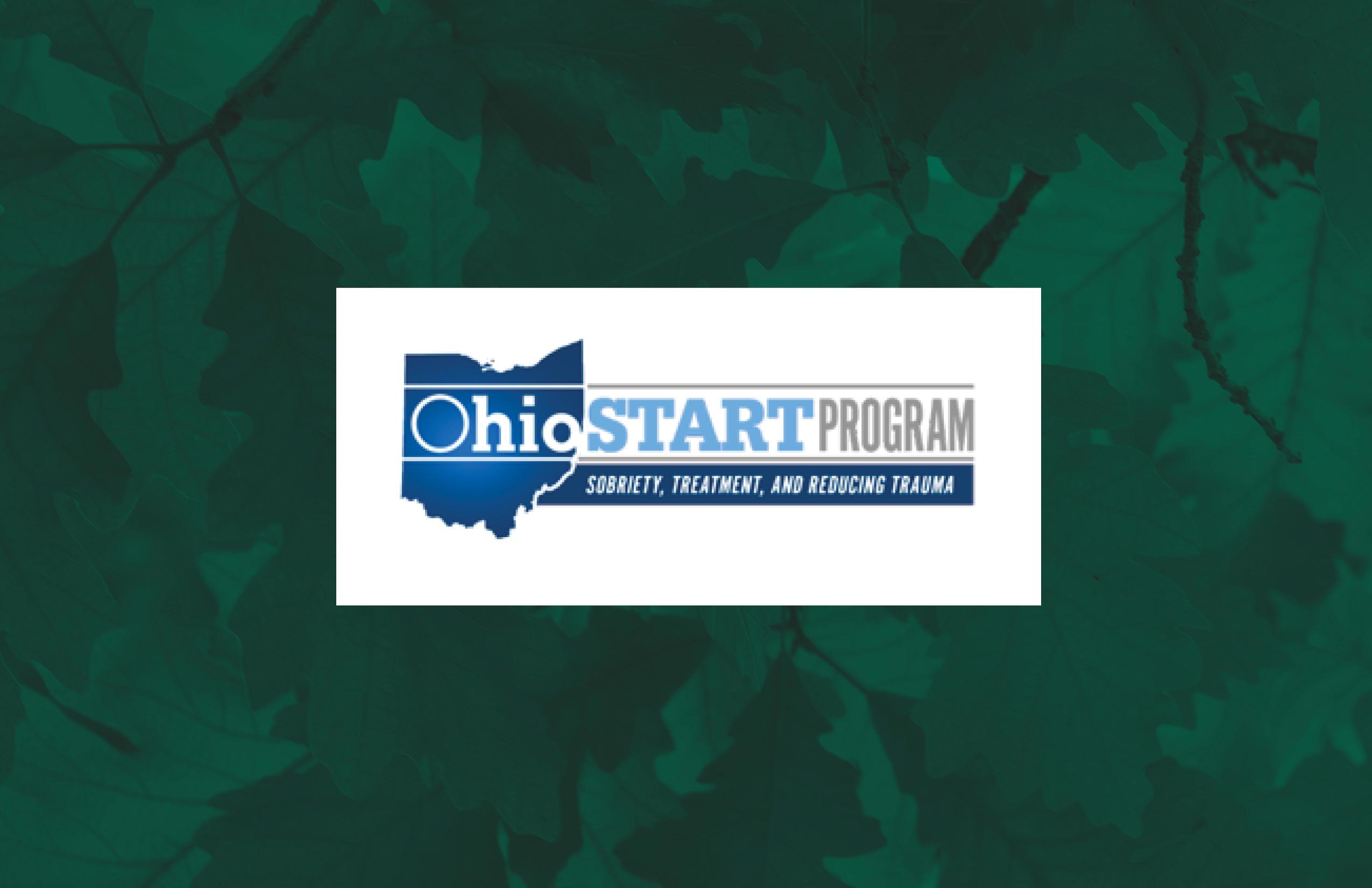 Ohio Start Program Logo in a white square on a background of texture of green leaves